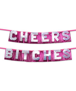Bachelorette Party Favors Cheers Bitches Party Banner - Silver/Pink