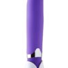 Nu Sensuelle Curve Rechargeable Silicone Vibrator - Purple