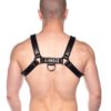 Prowler Red Bull Harness - 2XLarge - Black