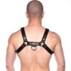 Prowler Red Bull Harness - Large - Black