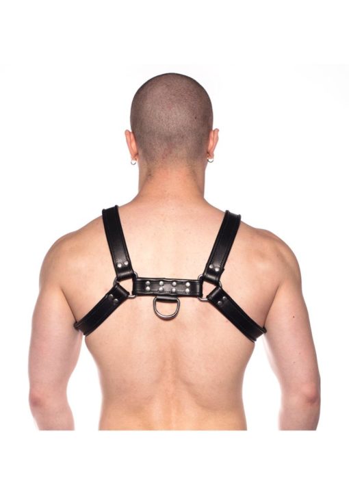 Prowler Red Bull Harness - Large - Black