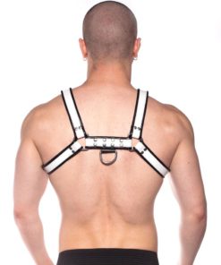 Prowler Red Bull Harness - Large - Black/White