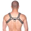 Prowler Red Bull Harness - Large - Gray