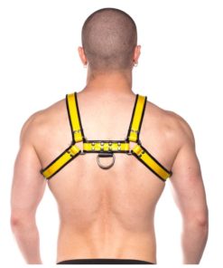 Prowler Red Bull Harness - Medium - Black/Yellow