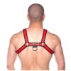 Prowler Red Bull Harness - Medium -Red