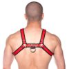 Prowler Red Bull Harness - Small -Red