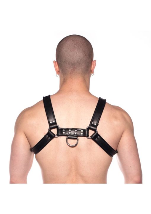 Prowler Red Bull Harness - XLarge - Black