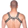 Prowler Red Bull Harness - XLarge -Gray