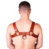 Prowler Red Butch Harness - Small - Brown/Brass