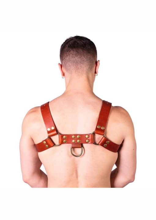 Prowler Red Butch Harness - XLarge - Brown/Brass