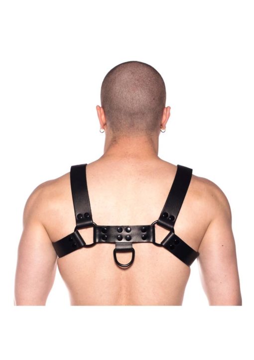 Prowler Red Noir Harness - Small - Black