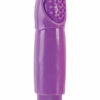 Zingers Scoop Vibrator- Purple