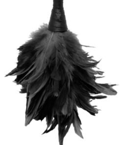 Fetish Fantasy Series Frisky Feather Duster 14in - Black