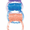 The MachO Three Ring Set Vibrating Cock Ring - Assorted Color