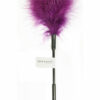 Sex and Mischief Feather Tickler - Purple