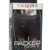 Packer Gear Boxer Brief Harness - XS/S - Black