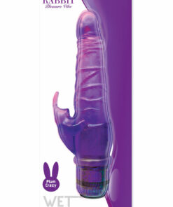 Wet Dreams Rapid Rabbit Pleasure Vibe Water Resistant Vibrator - Purple