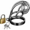 Master Series Captus Locking Chastity Cage - Silver