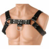 Strict Leather English Bull Dog Harness - Black