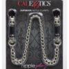 Nipple Play Superior Nipple Clamps - Silver