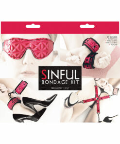 Sinful Bondage Vinyl Kit (Set of 4) - Pink