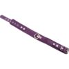 Rouge Plain Leather Adjustable Collar 1 Ring - Purple