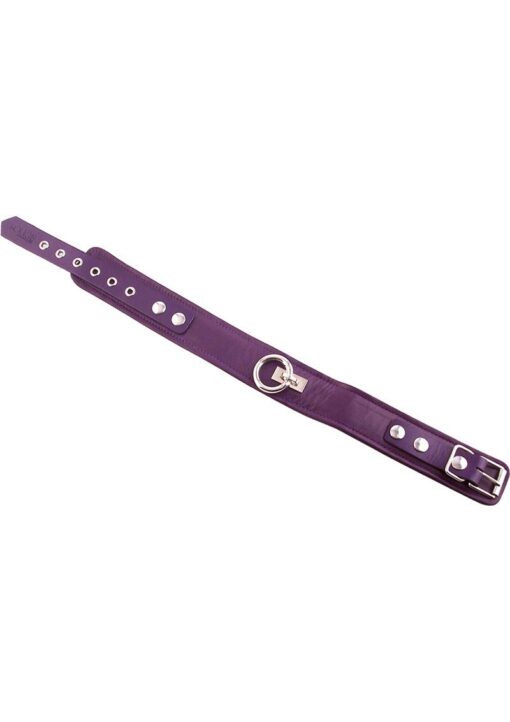 Rouge Plain Leather Adjustable Collar 1 Ring - Purple