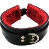 Rouge Leather Collar with Faux Fur Lining - Black and Red