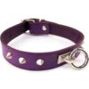 Rouge O Ring Studded Adjustable Leather Collar - Purple