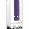 Purple Passion Rechargeable Silky Smooth Bullet - Purple