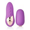 Nu Sensuelle Remote Control Petite Egg Rechargeable - Purple
