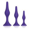 Booty Call Booty Trainer Starter Kit Silicone Anal Plugs 3 Assorted Sizes - Purple