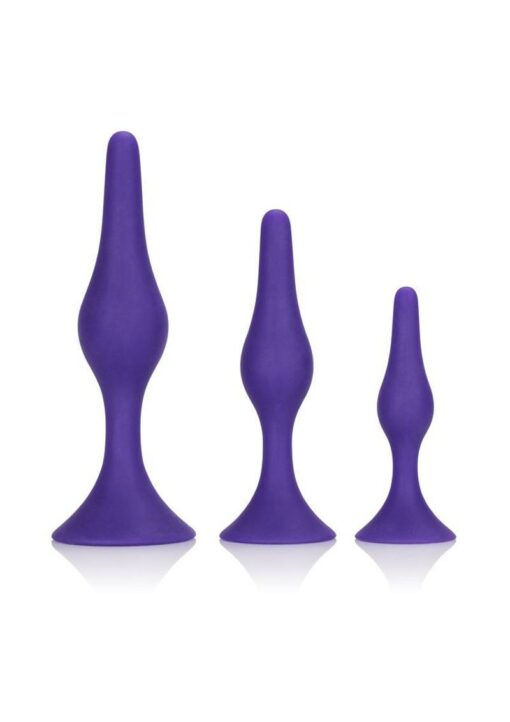 Booty Call Booty Trainer Starter Kit Silicone Anal Plugs 3 Assorted Sizes - Purple