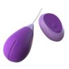 Fantasy For Her Silicone Wireless Remote Kegel Excite Her Waterproof Purple
