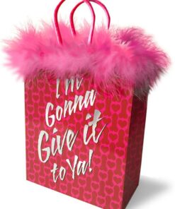 I`m Gonna Give It To You Gift Bag