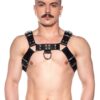 Prowler Red Butch Harness - Small - Black/Silver