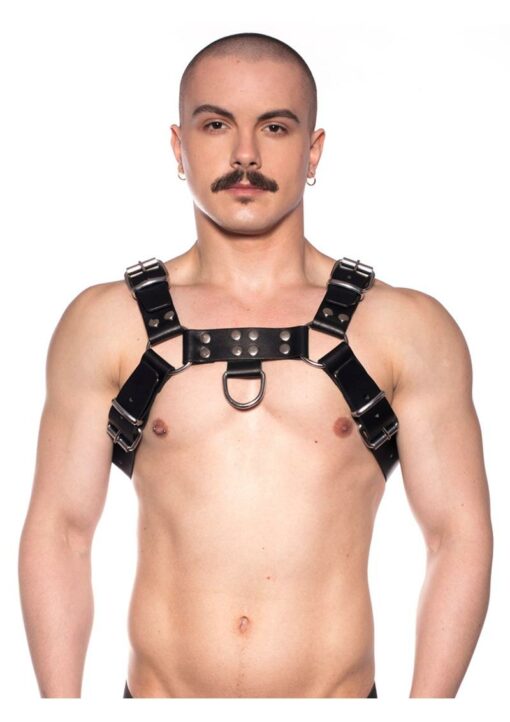 Prowler Red Butch Harness - XLarge - Black/Silver