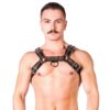 Prowler Red Bull Harness - Small - Black/Green