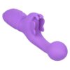 Butterfly Kiss Rechargeable Silicone Dual Vibrator - Purple