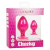 Cheeky Silicone Textured Anal Plugs Large/Small (Set of 2) - Pink