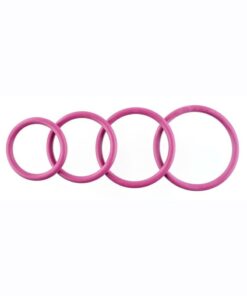 Rubber O-Ring Assorted Sizes (4 pack) - Plum