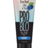 ProBlo Oral Pleasure Flavored Gel 1.5oz - Blueberry