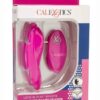 Lock-N-Play Remote Flicker Rechargeable Silicone Panty Teaser Panty Vibe - Pink
