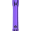 Royal Gems Jewel Rechargeable Bullet - Purple