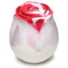 Bloomgasm The Rose Lover`s Gift Box - Red/White Swirl