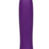 Kyst T.C.B. Taking Care of Business Rechargeable Stimulator - Purple