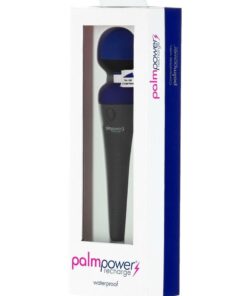 PalmPower Recharge Massager - Blue