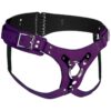 Strap U Bodice Deluxe Leather Corset Harness - Purple