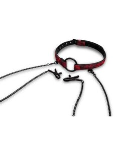 Secret Kisses Rosegasm Open Mouth Gag with Nipple Clips and Satin Blindfold - Red/Black